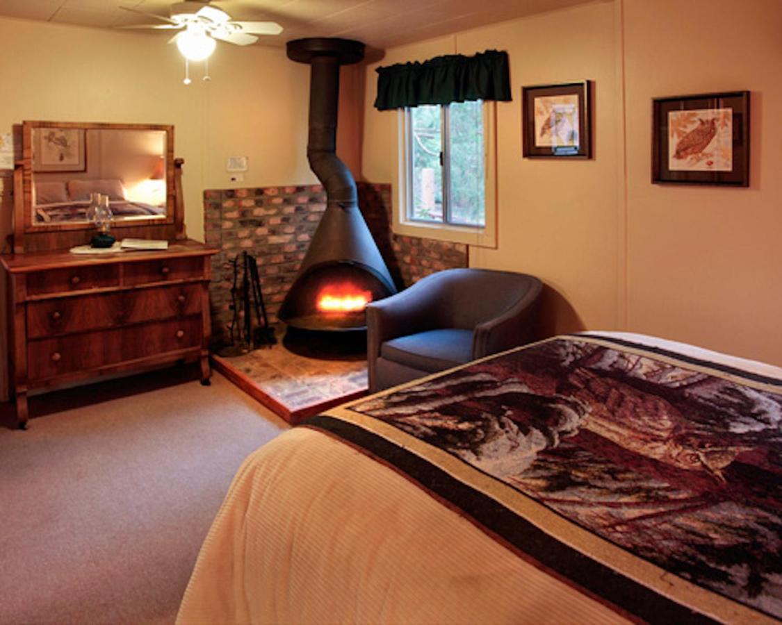 Silver Pines Lodge Idyllwild Ngoại thất bức ảnh