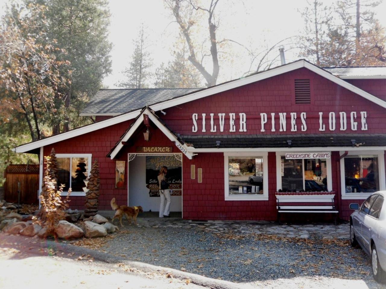 Silver Pines Lodge Idyllwild Ngoại thất bức ảnh