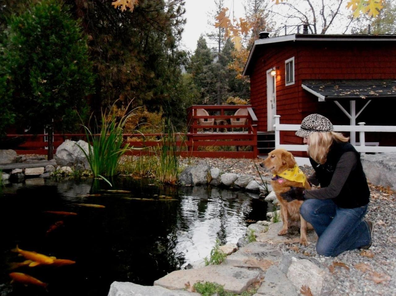 Silver Pines Lodge Idyllwild Ngoại thất bức ảnh